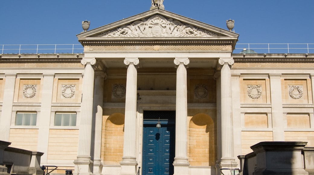 Oxford University Museum of Natural History, Oxford, Engeland, Verenigd Koninkrijk