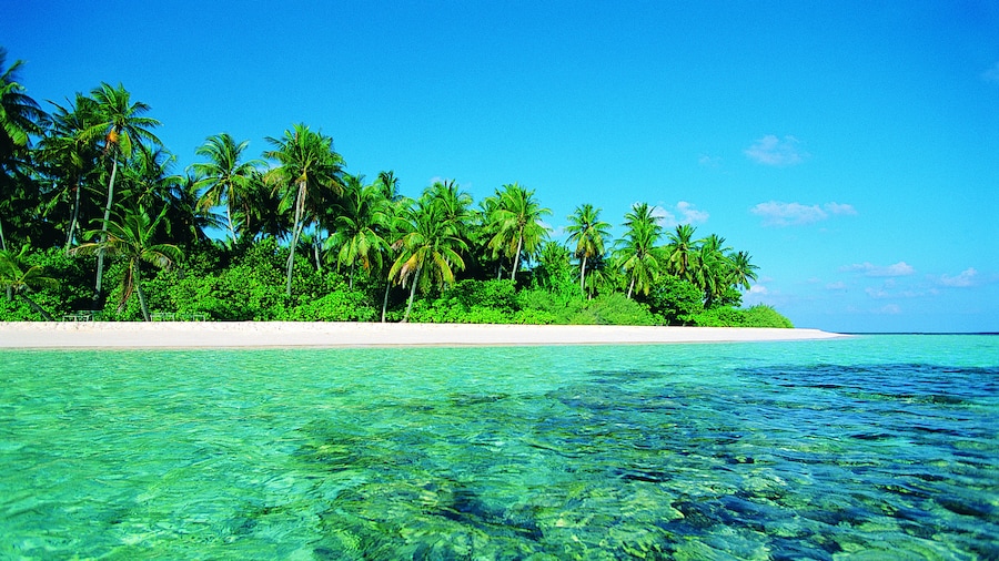 Playa de la Isla de Maafushivaru