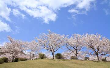 21 東伊豆自由行 應該怎好玩 東伊豆行程攻略包括交通 住宿和景點 Expedia Com Tw 21 東伊豆自由行 應該怎好玩 東伊豆行程攻略包括交通 住宿和景點 Expedia Com Tw
