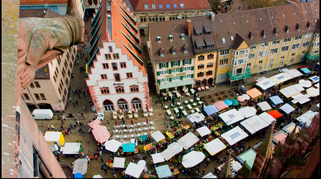 Freiburg im Breisgau, Baden-Württemberg, Germania