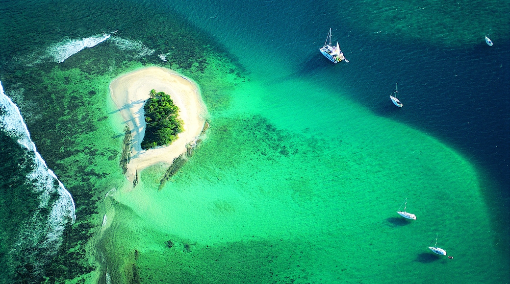 Green Cay, Christiansted, St. Croix Island, U.S. Virgin Islands