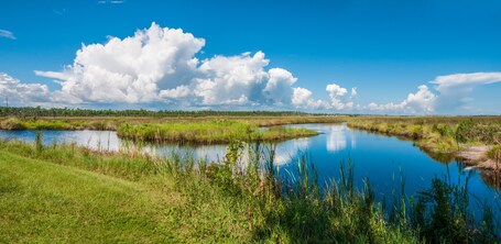 Dauphin Island