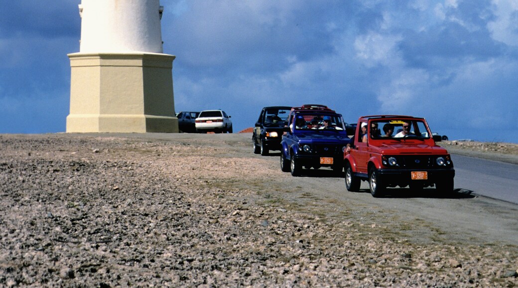 Arashi (Strand), Noord, Aruba