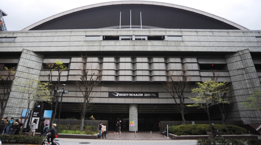 오사카 EDION 체육관
