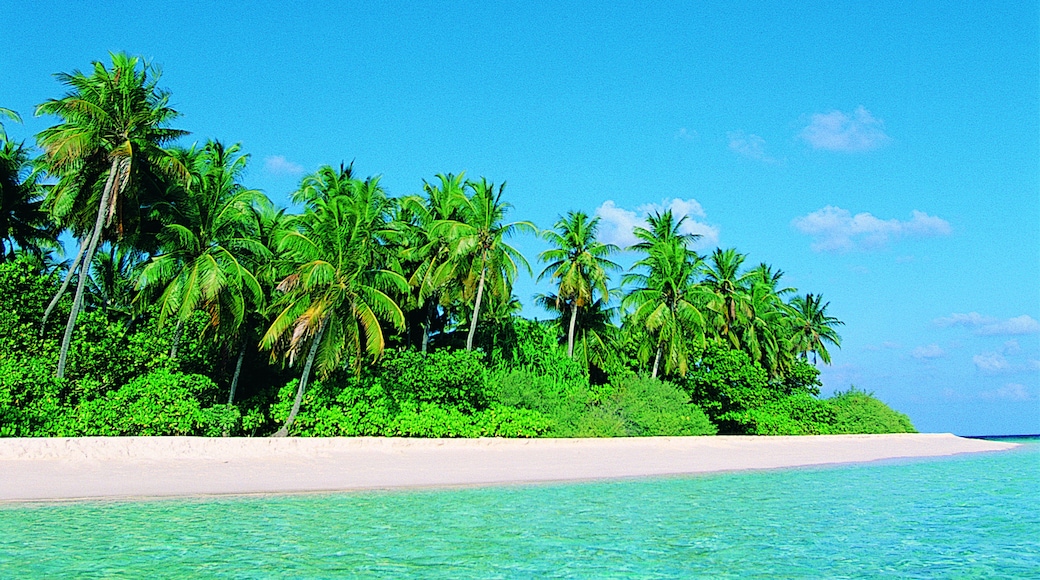 Nordlige Ari-atoll