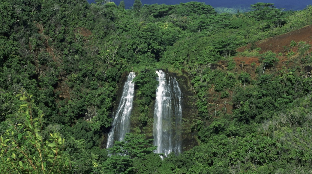 Opaekaa Falls, Kapaa, Hawaii, United States of America