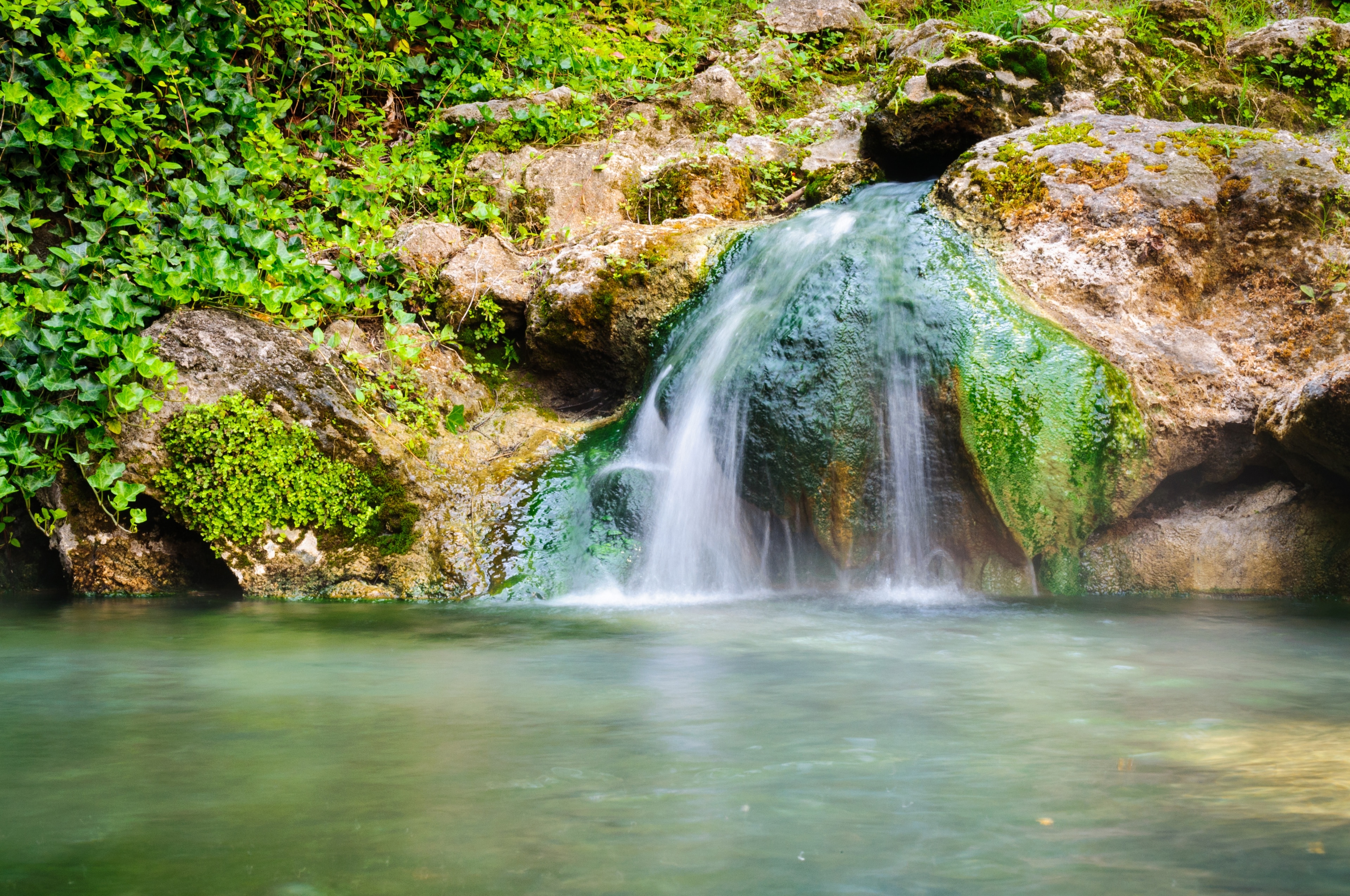 family day trips in arkansas