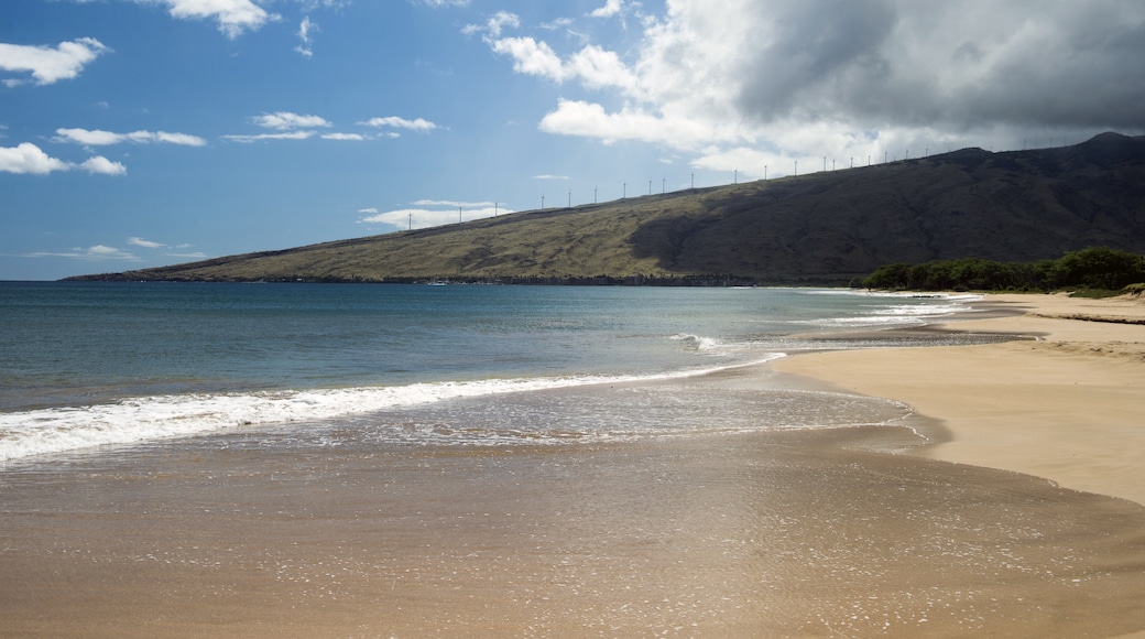 Napili-Honokowai