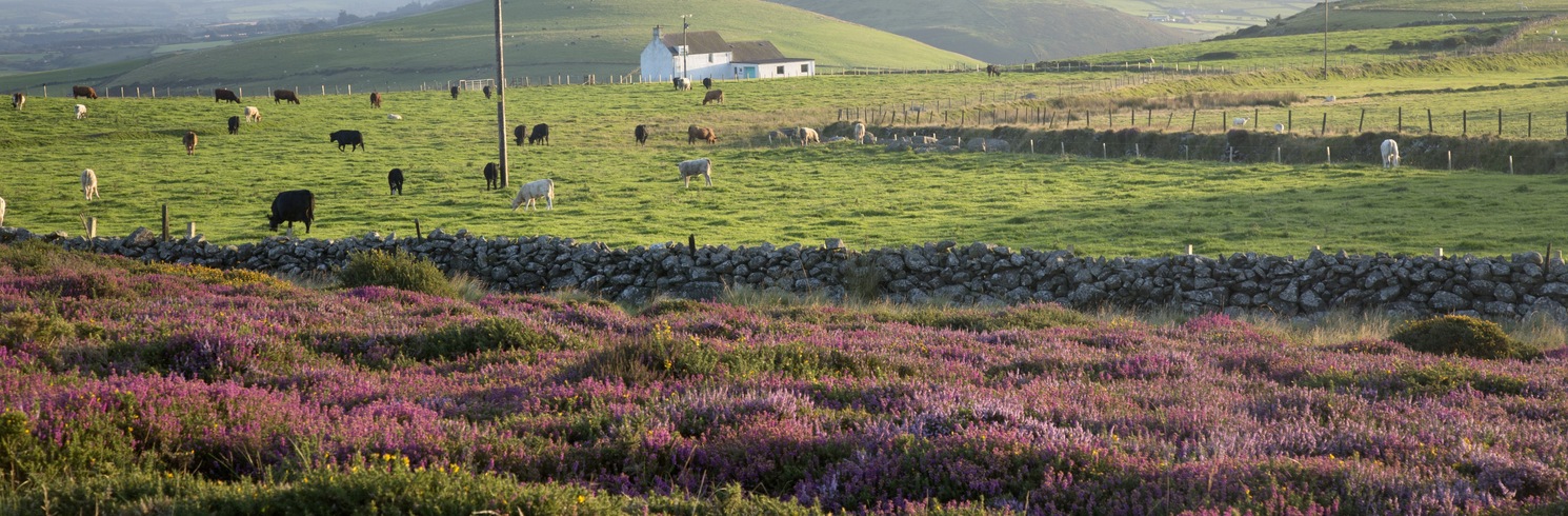 Buan, United Kingdom