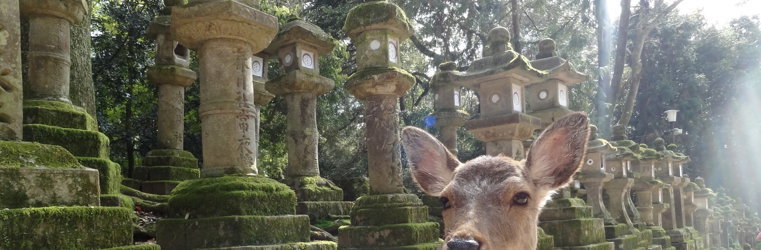 Nara, Japão