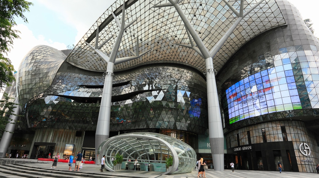 愛雍烏節購物中心, 新加坡, 新加坡