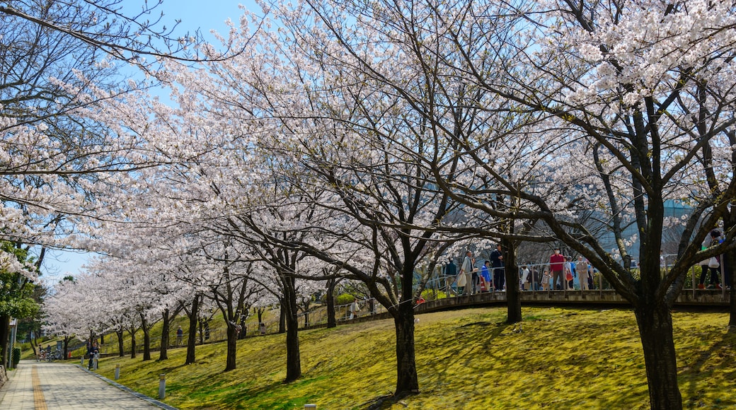 Hakusan Park, Niigata, Niigata Prefecture, Japan