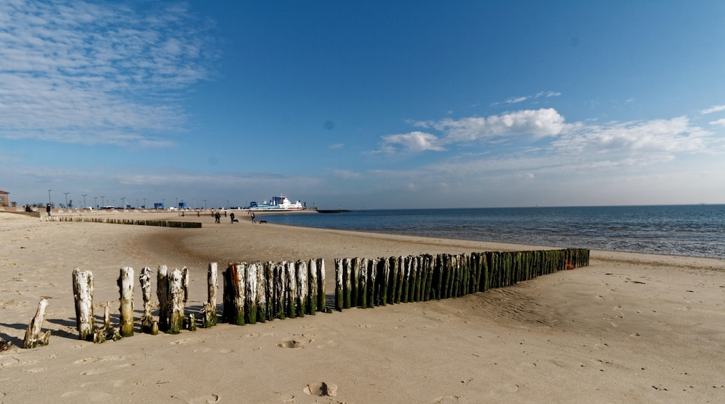 Schleswig-Holstein Wadden Sea National Park