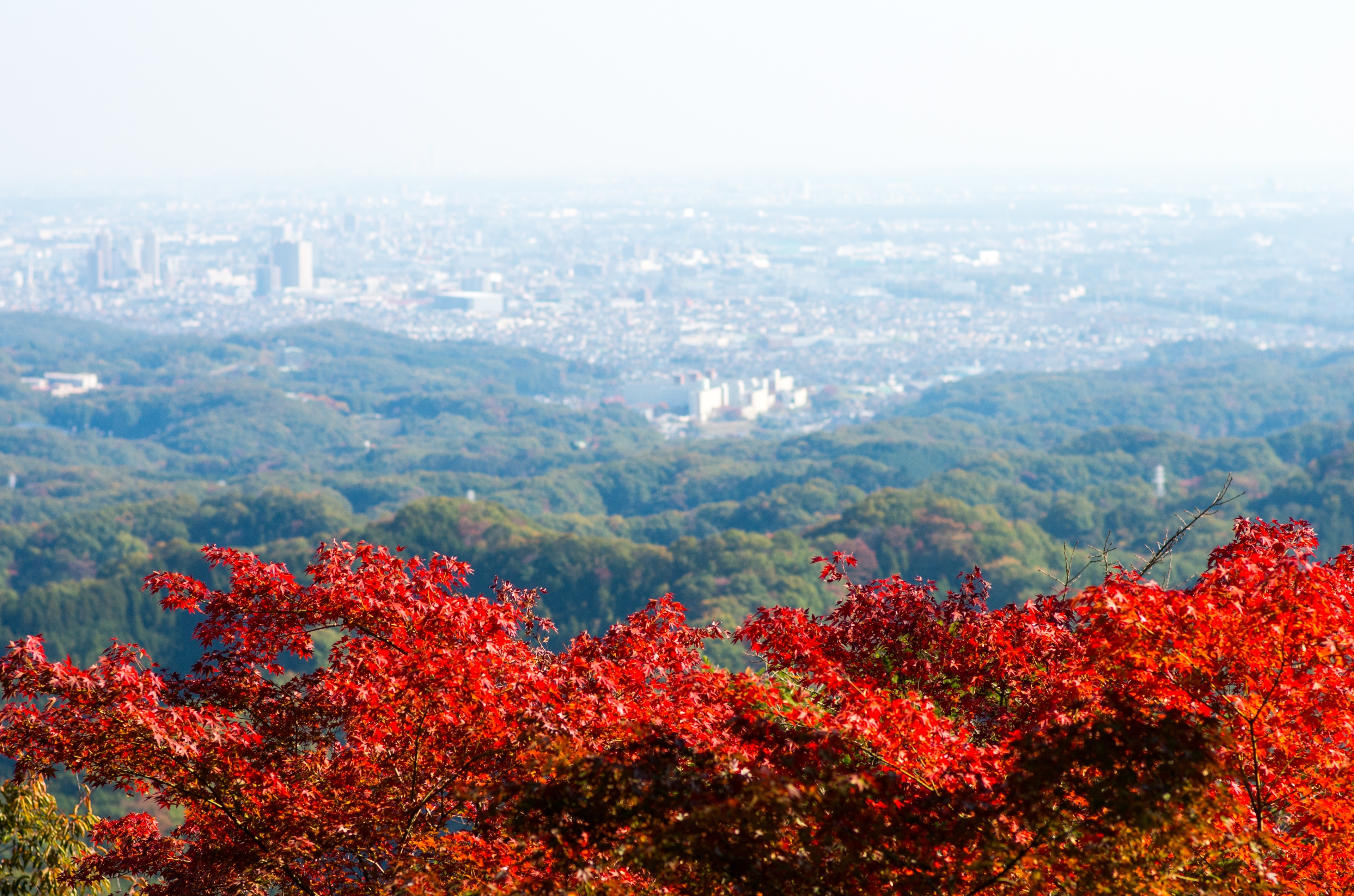 Visit Hachioji: 2023 Travel Guide for Hachioji, Tokyo Prefecture