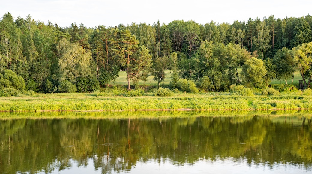 Kaunas län