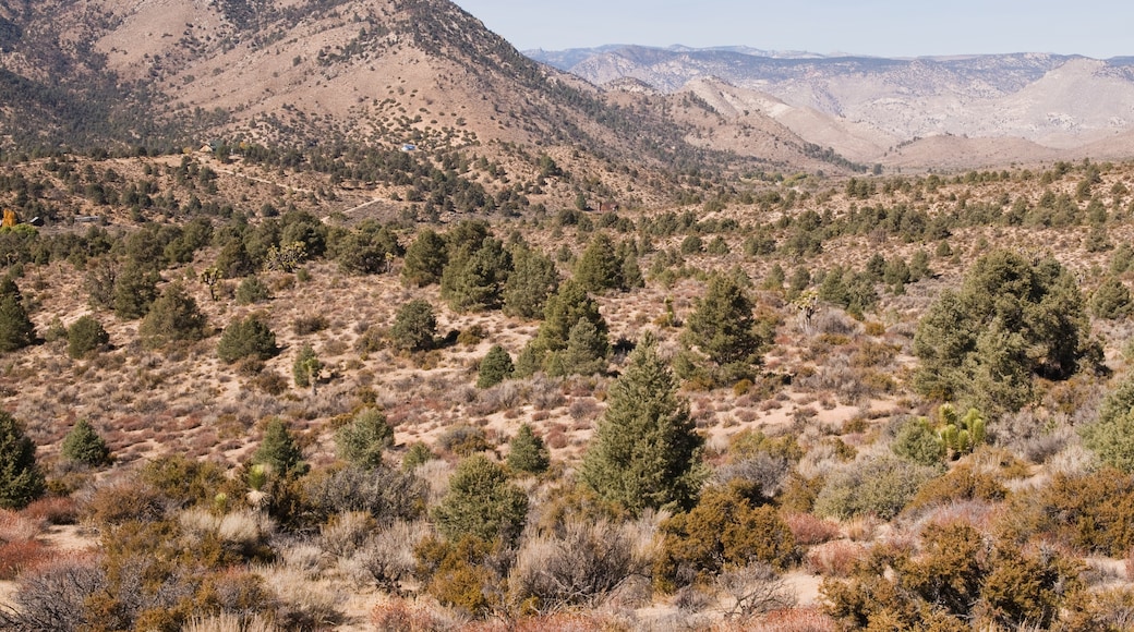 Inyokern