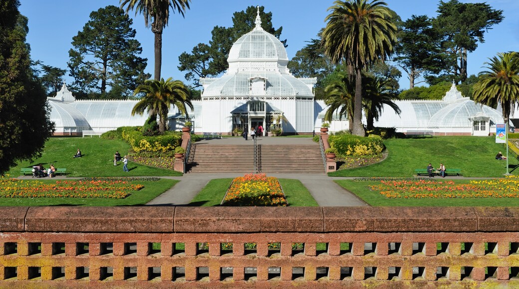Golden Gate Park, San Francisco, California, United States of America