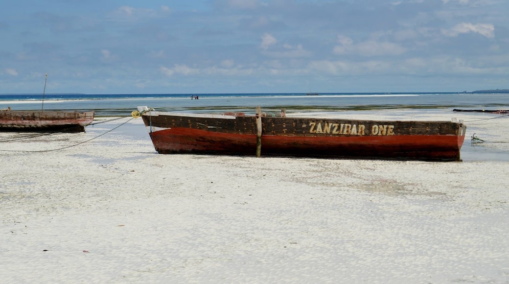 Jambiani, Södra Zanzibar, Tanzania