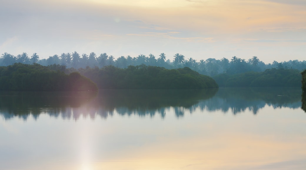 Puttalam District