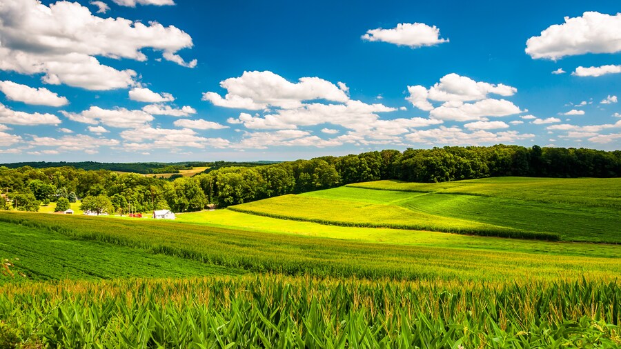 Car Rental York, PA from $16 | Short to Long-Term York Car Rental Deals