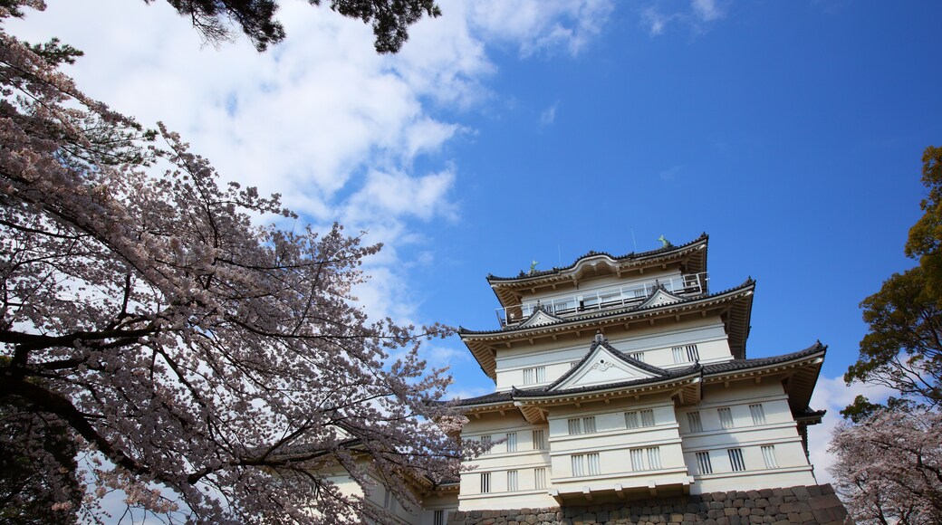 Odawara slott