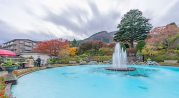 Gora, Hakone, Kanagawa Prefecture, Japan