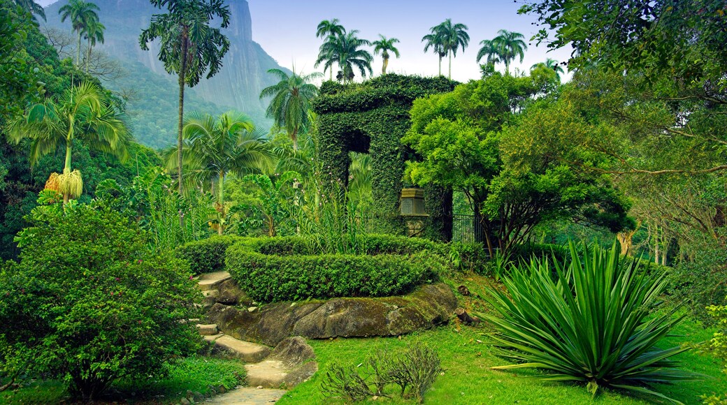 Rio de Janeiro Botanical Garden, Rio de Janeiro, Rio de Janeiro State, Brazil