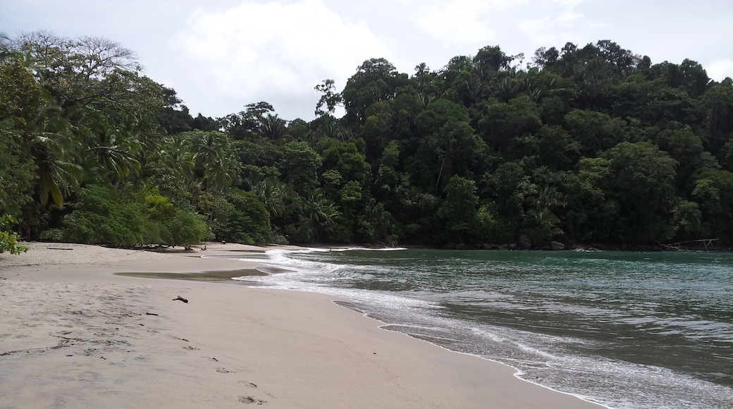 Manuel Antonio Beach, Manuel Antonio, Puntarenas Province, Costa Rica