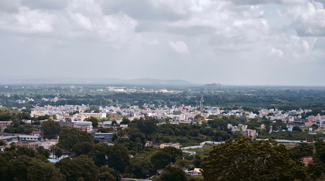 Arakkonam, Tamil Nadu, India