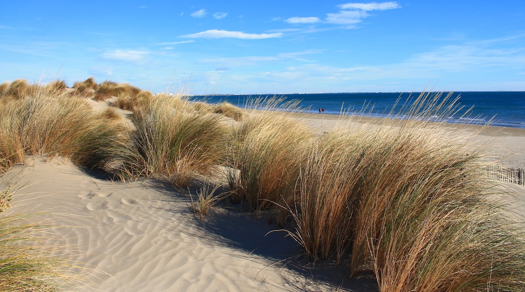 Carnon-Plage