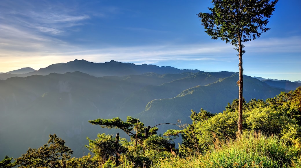 阿里山