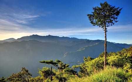 許家茶園民宿露營區評價、繡球花季美景、舒適衛浴與親切主人 – 高山露營秘境 - 照片 9