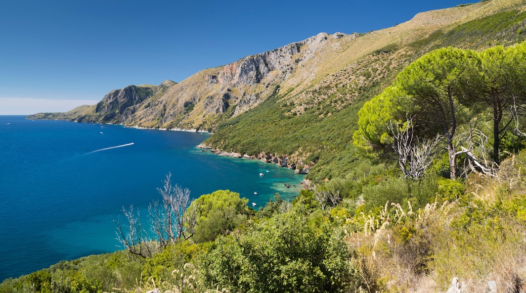 Marina di Camerota