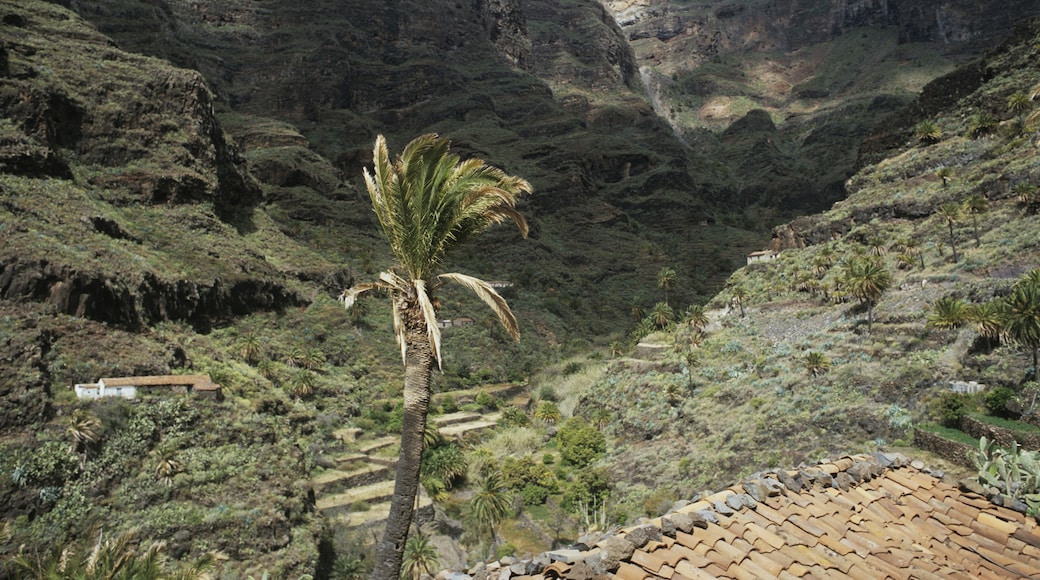 Hermigua, Canary Islands, Spain