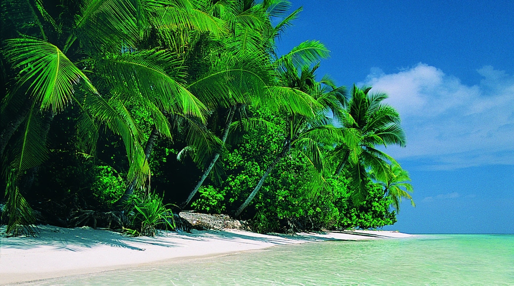 Himandhoo Travel Guide: Best of Himandhoo, North Ari Atoll Travel 2024 ...