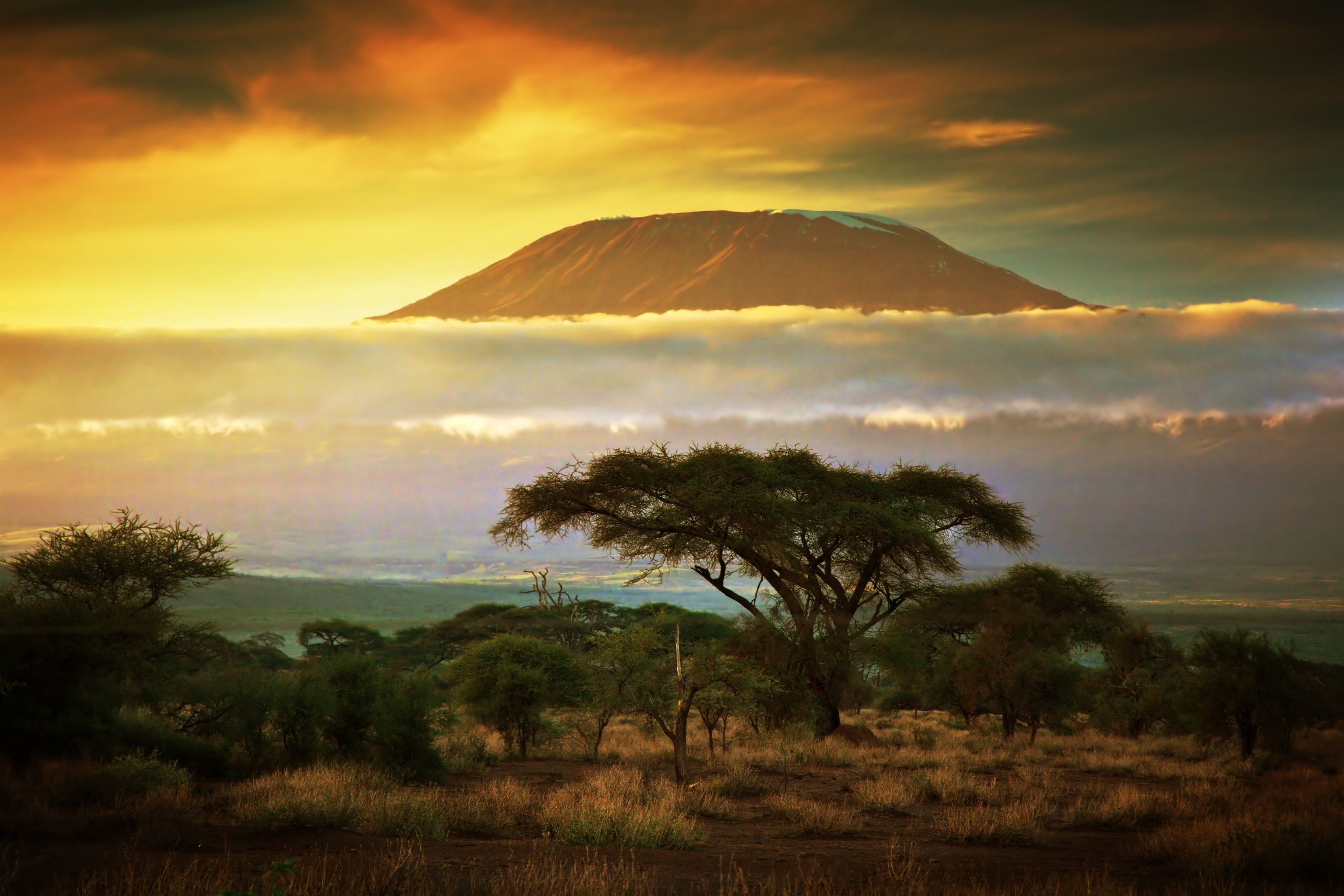 Amboseli, Comté de Kajiado, Kenya