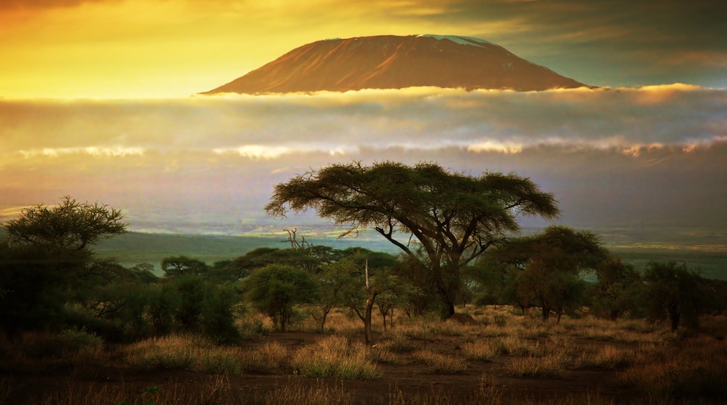 Amboselin kansallispuisto, Amboseli, Kajiadon piirikunta, Kenia