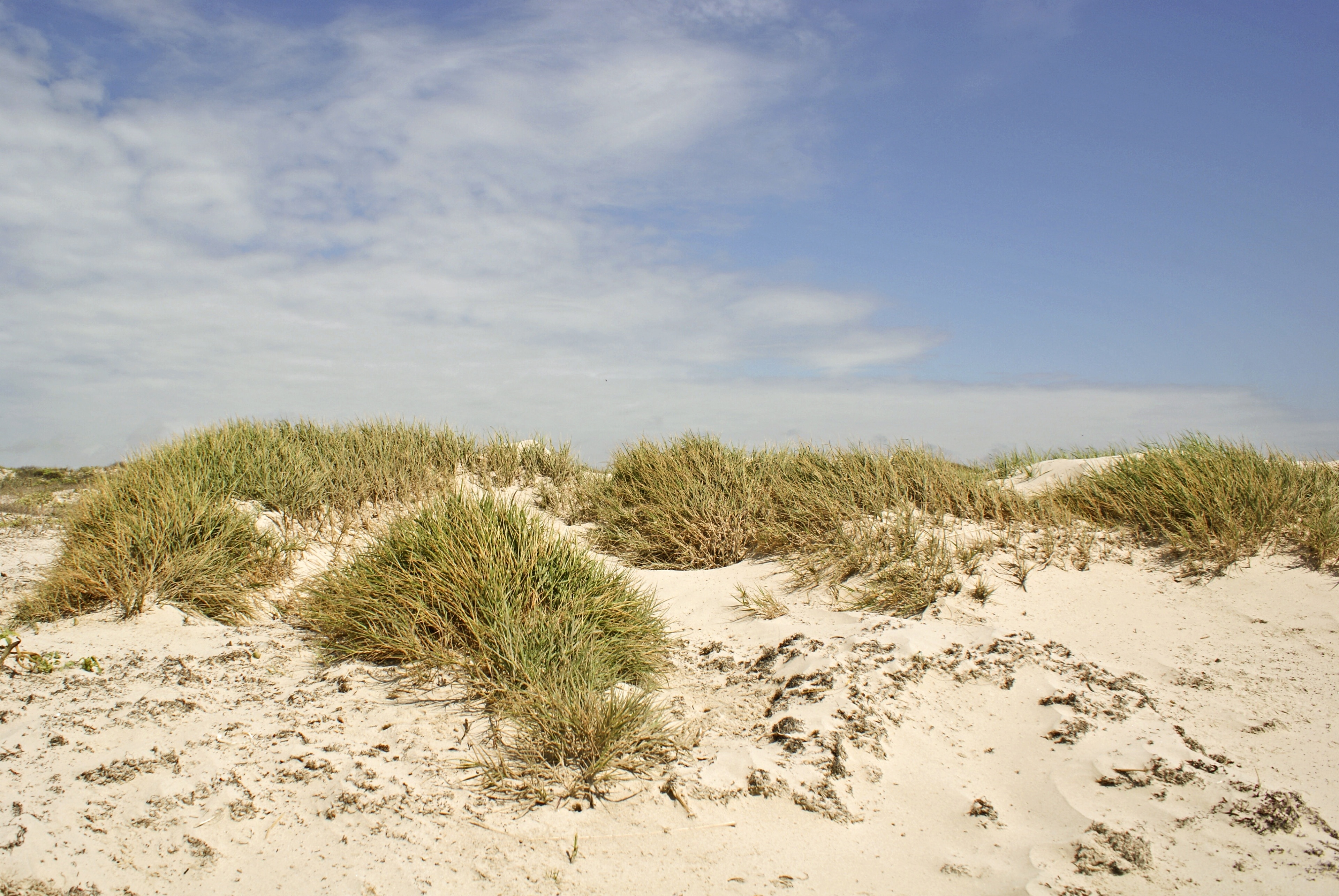 Isla del Padre Norte