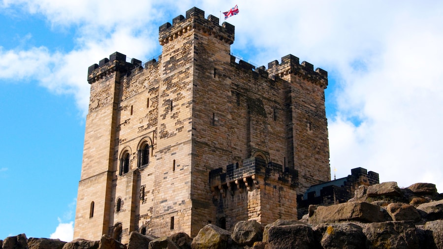 Newcastle Castle