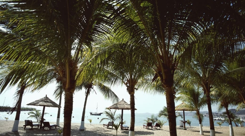 Parc aquatique Tropical Islands Resort