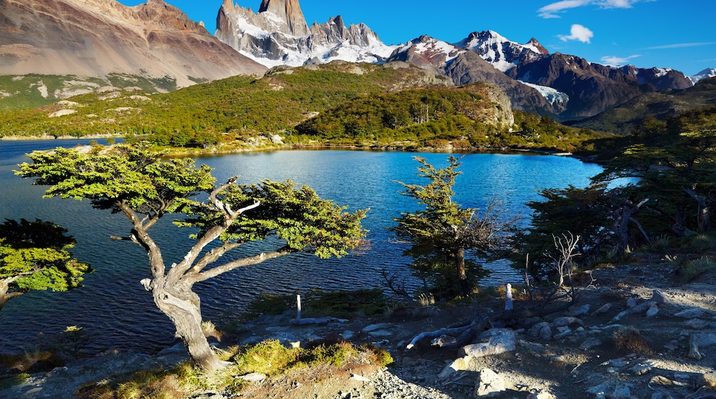 Los Glaciares nasjonalpark