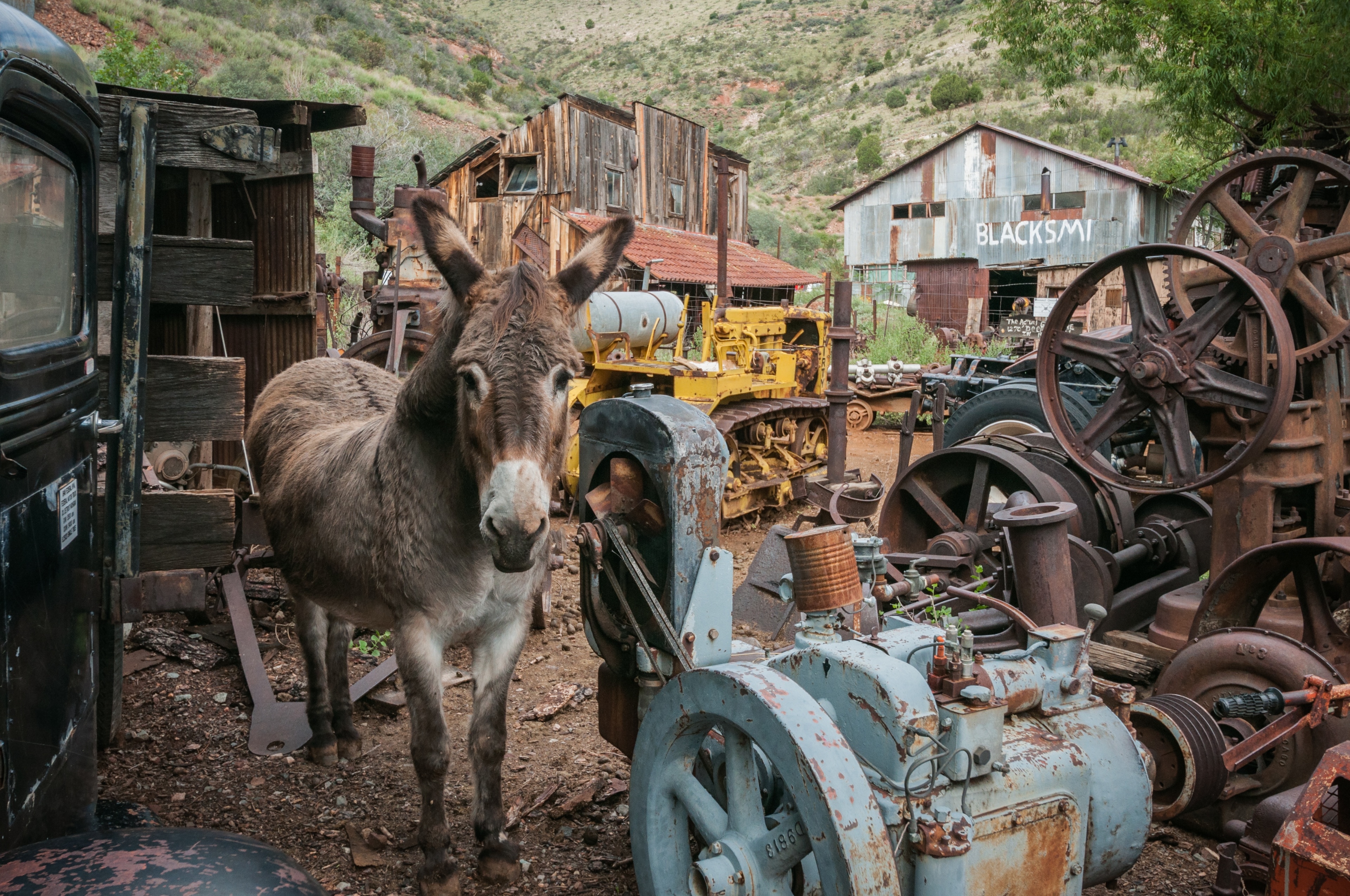 Things To Do In Jerome In 2024 Expedia   C23a096ae7ac3b89532d58a02fb1052a 