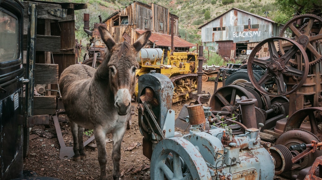 Verde Valley Wine Trail