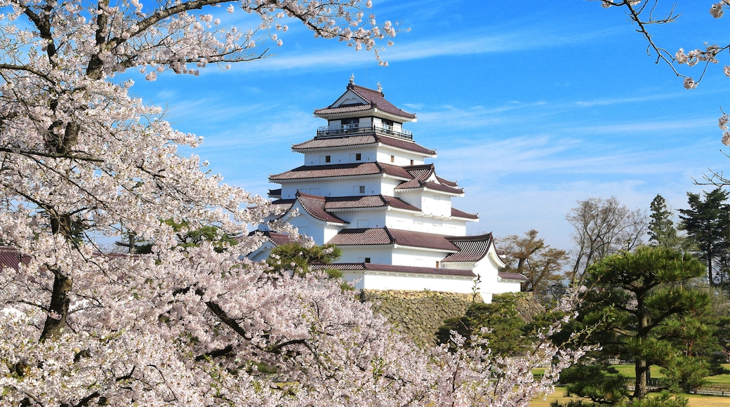 Castello di Aizuwakamatsu