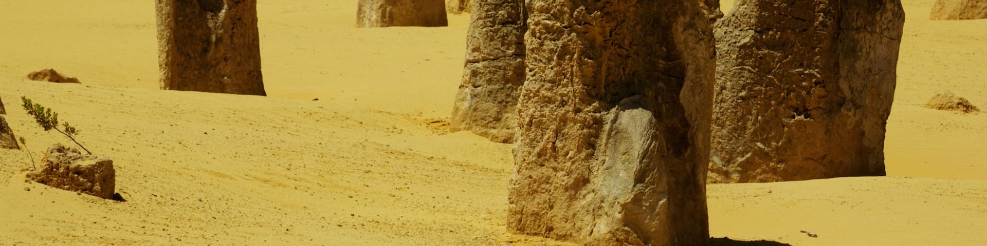 Cervantes, Batı Avustralya, Avustralya