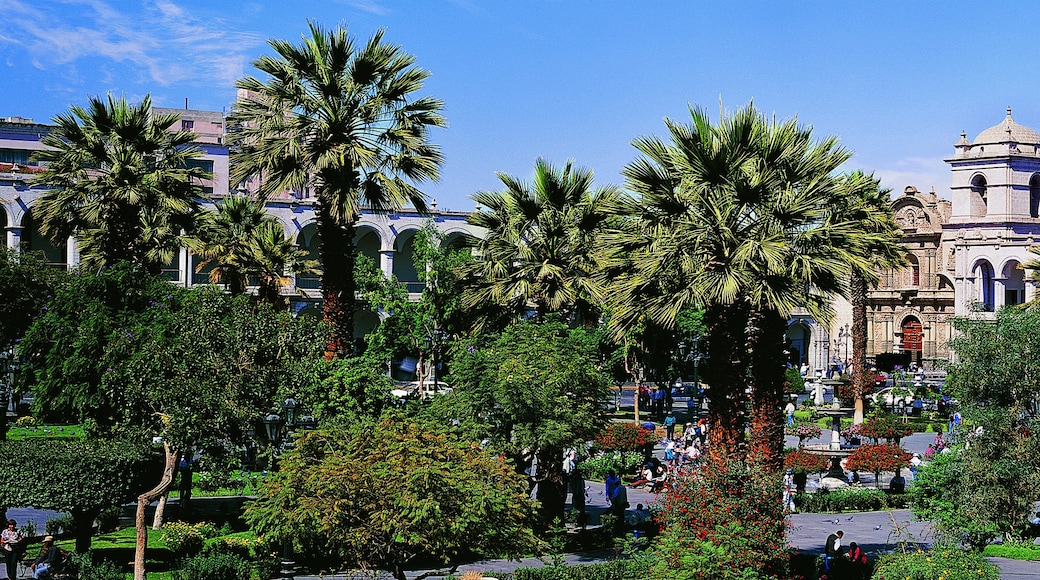 Arequipa Plaza de Armas