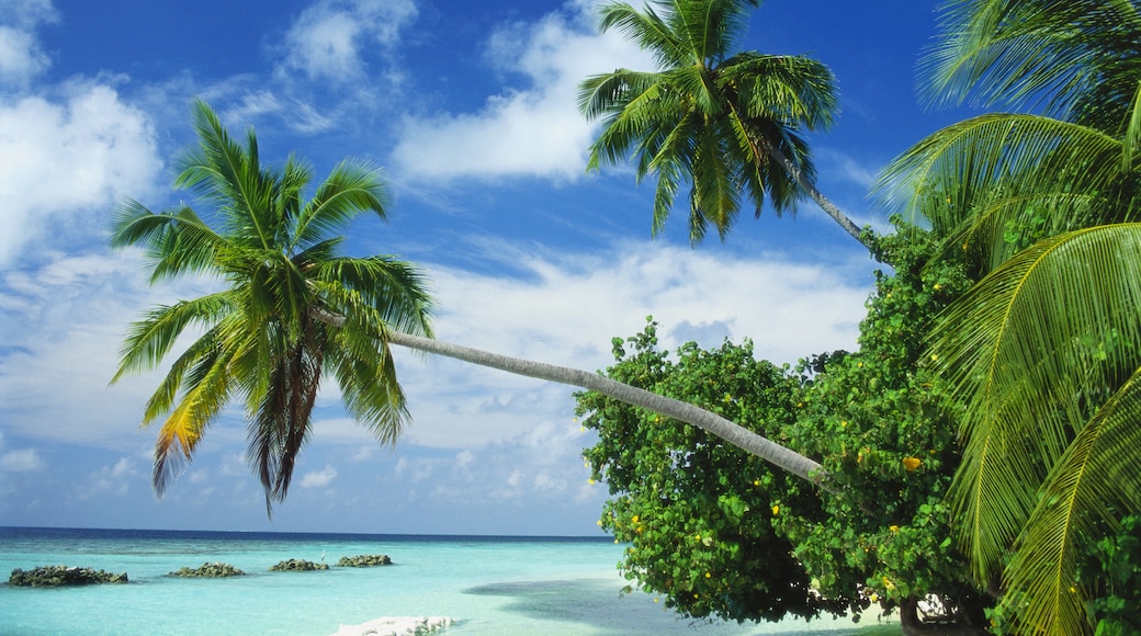 Nordlige Male-atoll