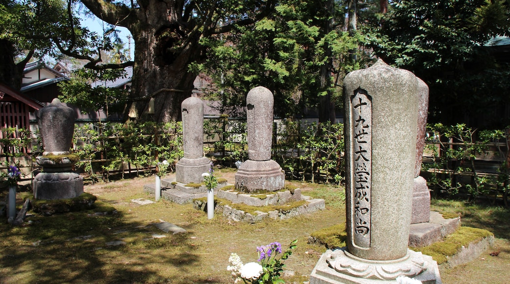 Tango-Amanohashidate-Oeyama Quasi-National Park