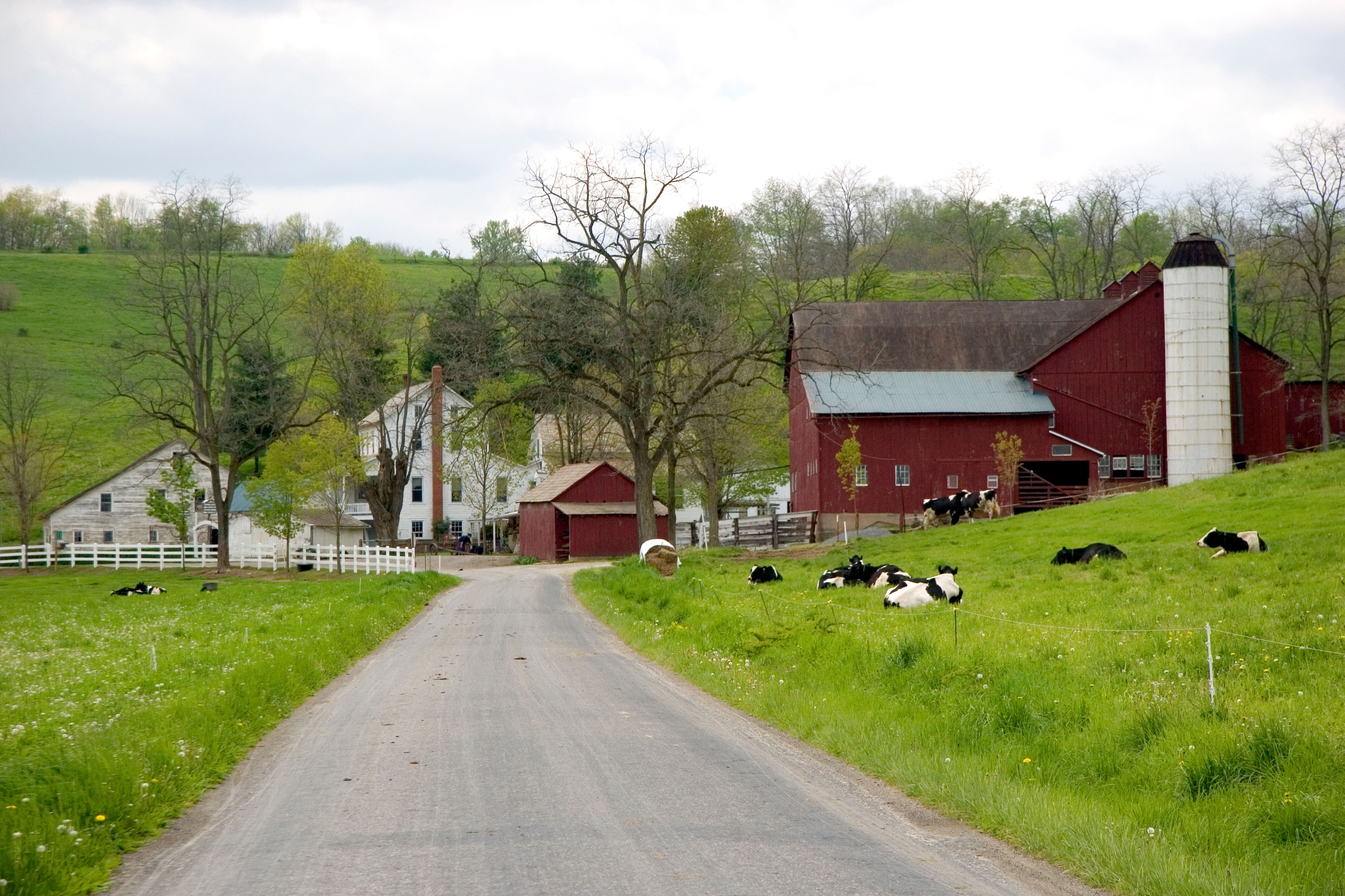 Winery Near Sugarcreek, Ohio  Amish country ohio, Amish country, Ohio  travel