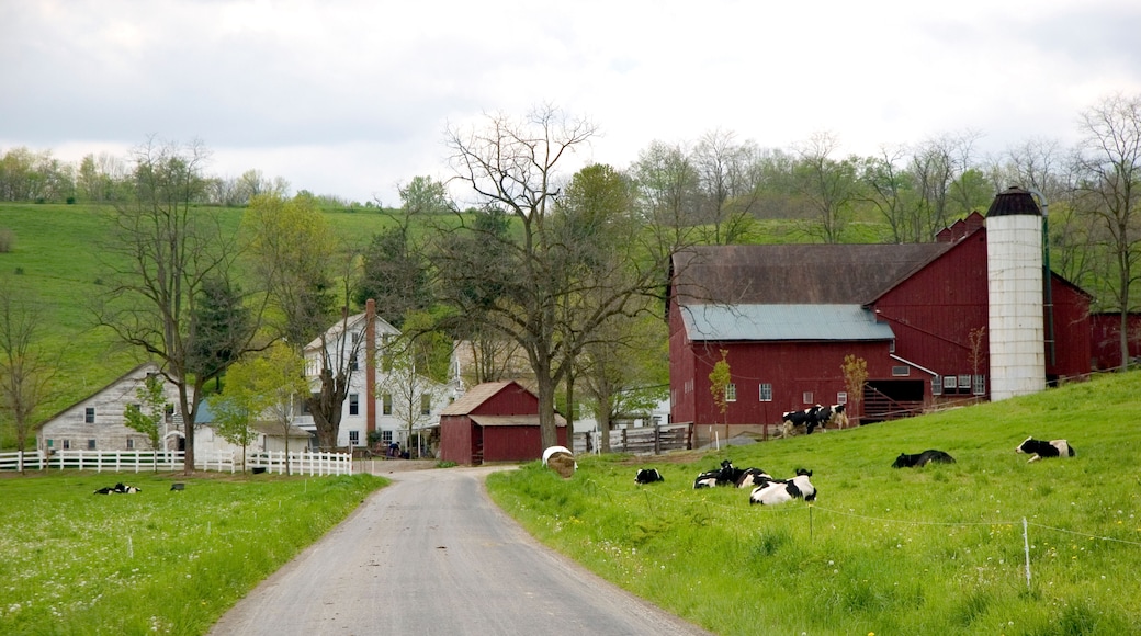 Amish Country, Ohio, United States of America